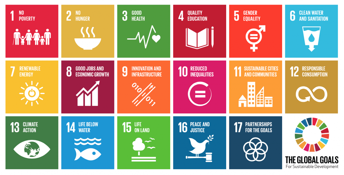 Millennium Development Goals Progress Chart 2015