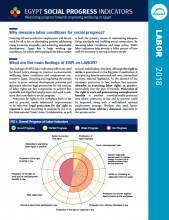 Egypt Social Progress Indicators Labor