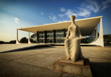 Brazil austerity amicus curiae legal action expenditure ceiling Bolsonaro COIVD-19